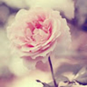 Meet your Posher, Mia warren